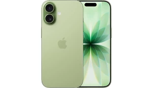 Смартфон Apple iPhone 17 256GB Зеленый (eSIM) (без RuStore), зеленый